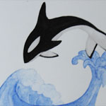Orca and Droplet