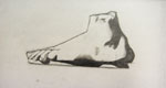 Bargue Drawing (foot)