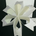 Paper Sculptures 