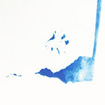 Cyanotype Project