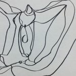 Pepper Contour Line Drawing (Breadth)