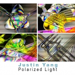 Polarized Light