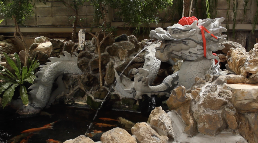 dynamic b-roll - outside