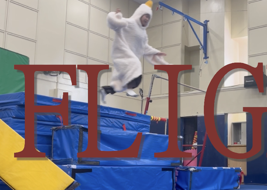 Iasas film submission