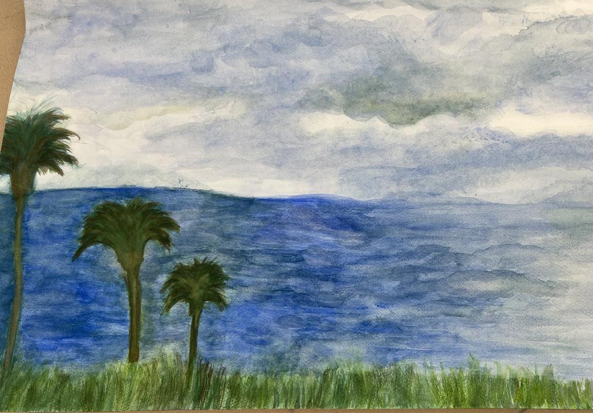 Analogous Landscape