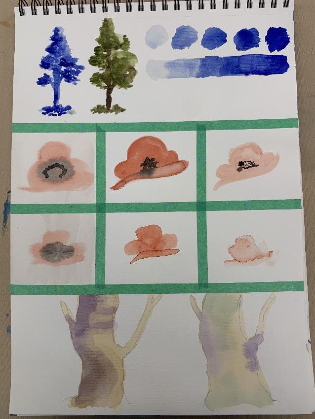 Trees, Flowers, Pears, Clouds