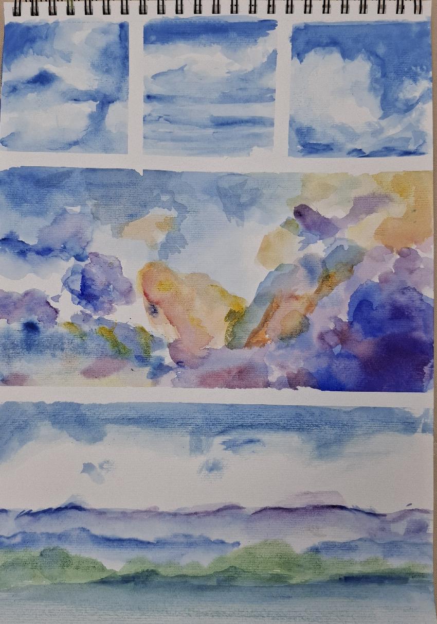 Landscape Assessment