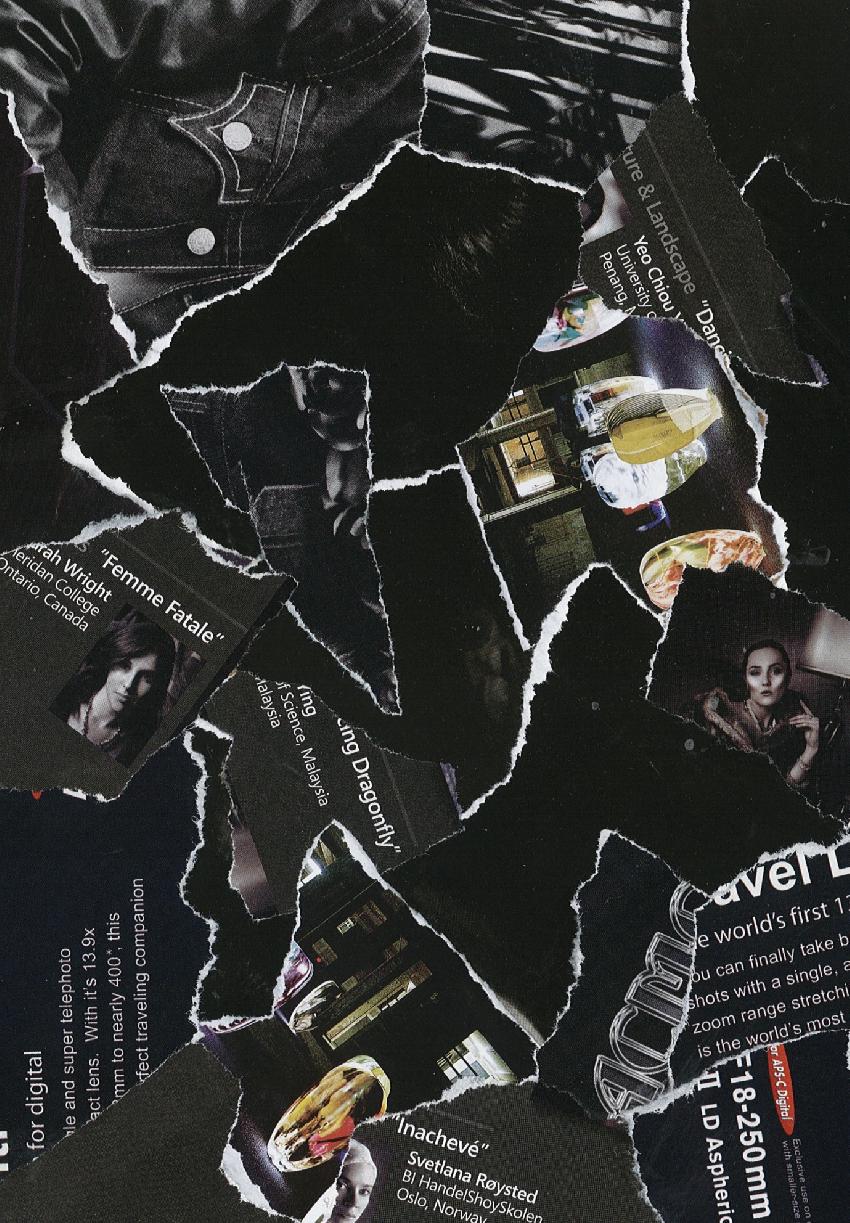 collage level - black.jpg