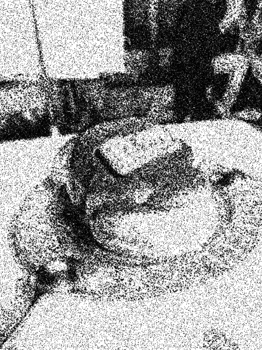 souffle-stipple-project.png