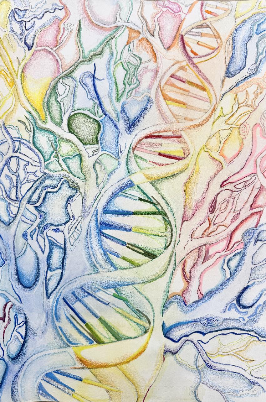 sustained investigation 1