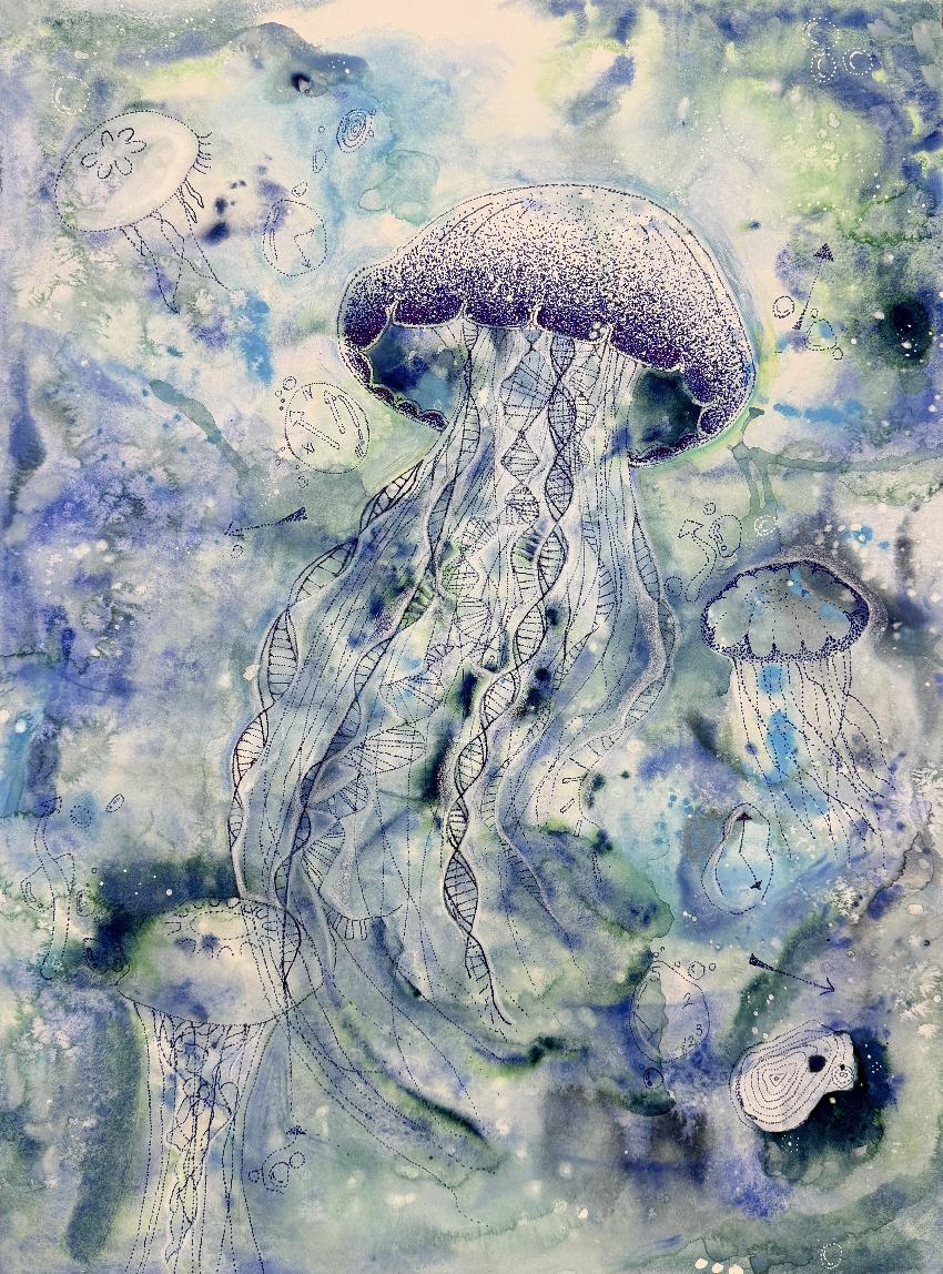 Sustained investigation 5