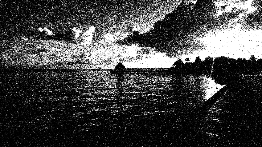 Sustained Investigation 6