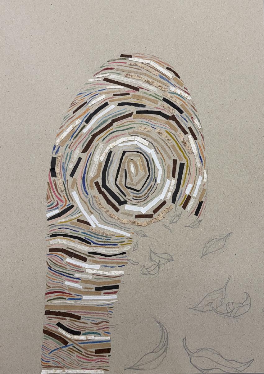 Sustained investigation 9