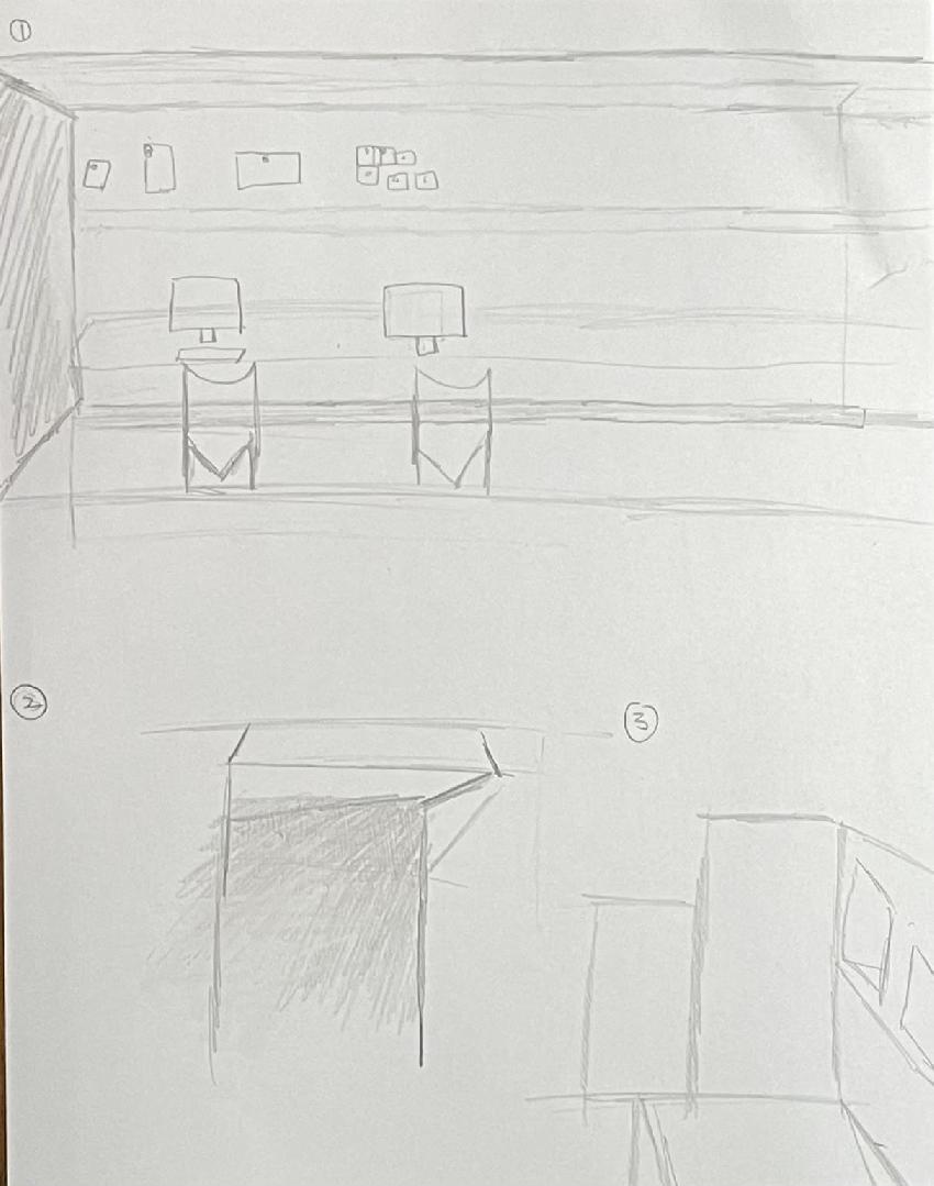 Observational Drawing