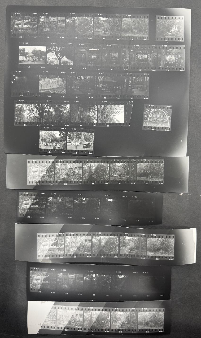 Contact Sheet + Test Scripts