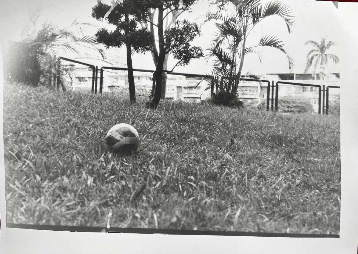 Seasons,hands,shadows