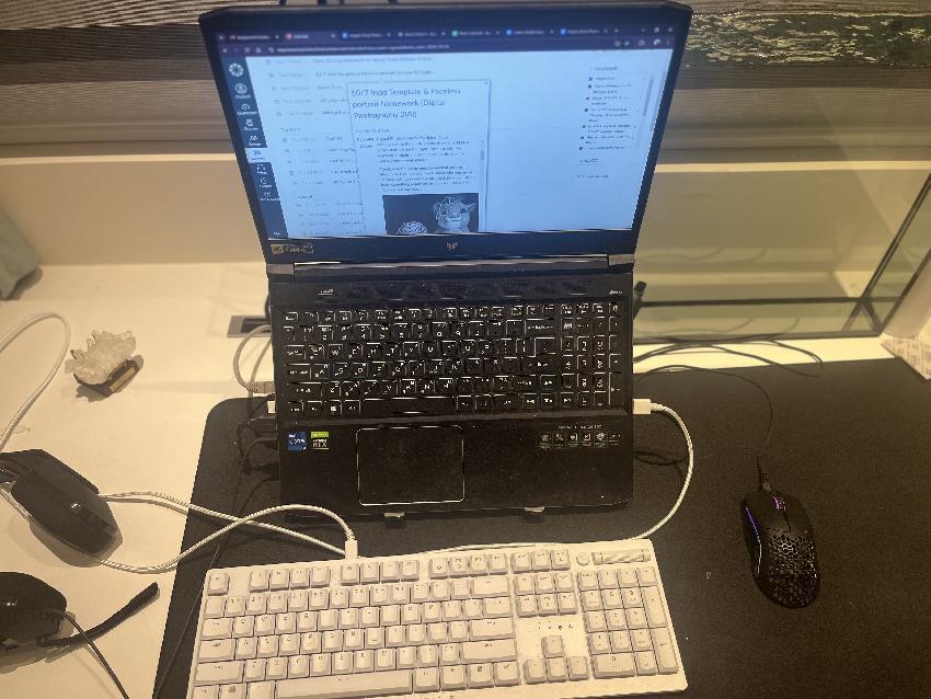 Faceless self portrait