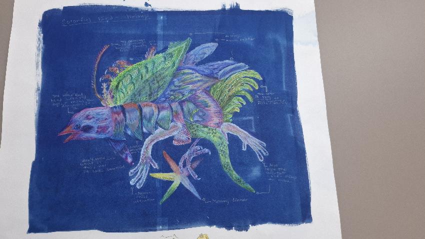 Cyanotype- regular and altered