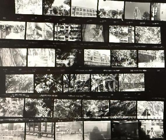 @2026 Analog Photography